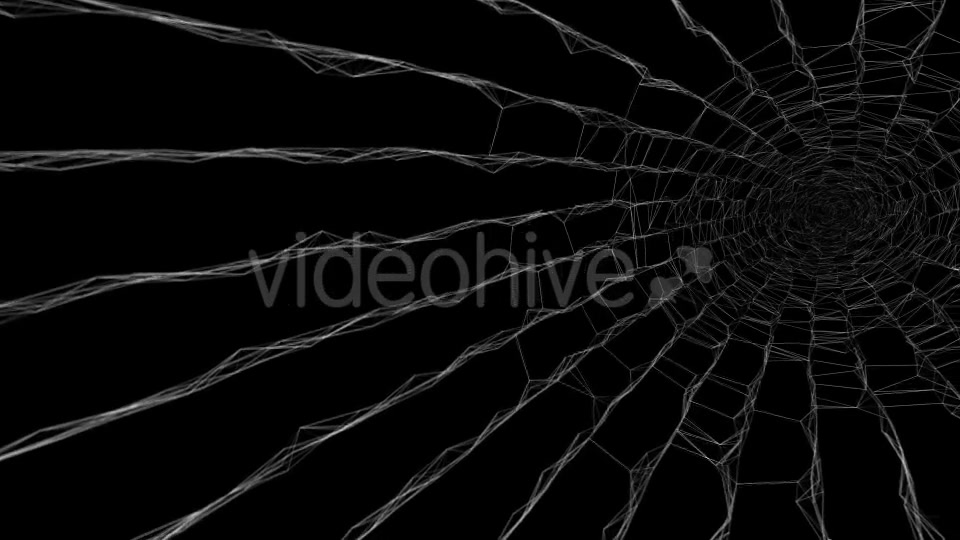 Halloween Spider Web Pack Videohive 20687879 Motion Graphics Image 12
