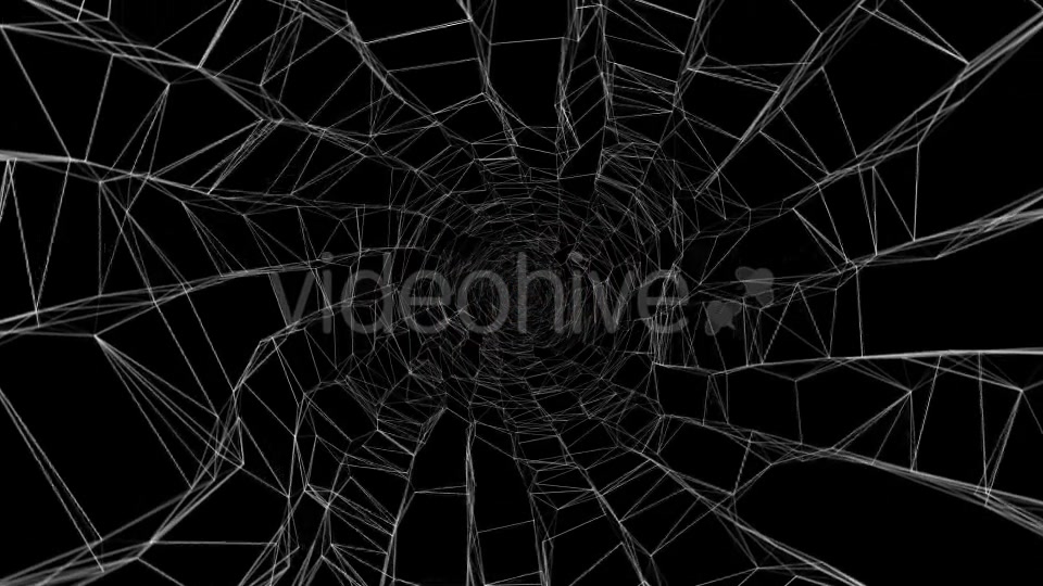 Halloween Spider Web Pack Videohive 20687879 Motion Graphics Image 4