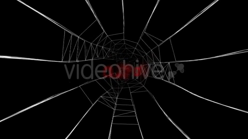 Halloween Spider Web Pack Videohive 20687879 Motion Graphics Image 6