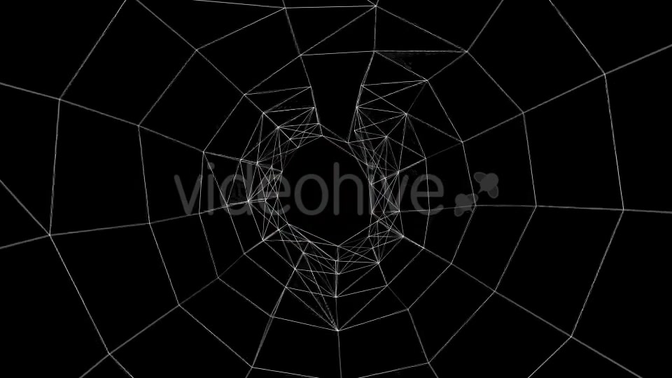 Halloween Spider Web Pack Videohive 20687879 Motion Graphics Image 8