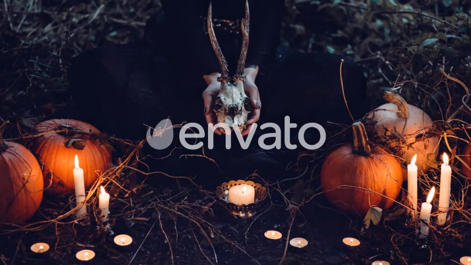 Halloween Transitions Videohive 22608857 Motion Graphics Image 5