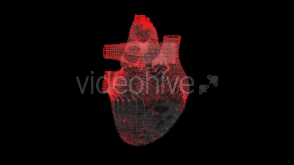 Heart Videohive 19165235 Motion Graphics Image 1