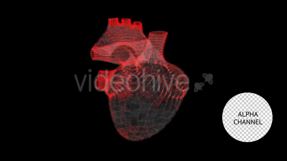Heart Videohive 19165235 Motion Graphics Image 2