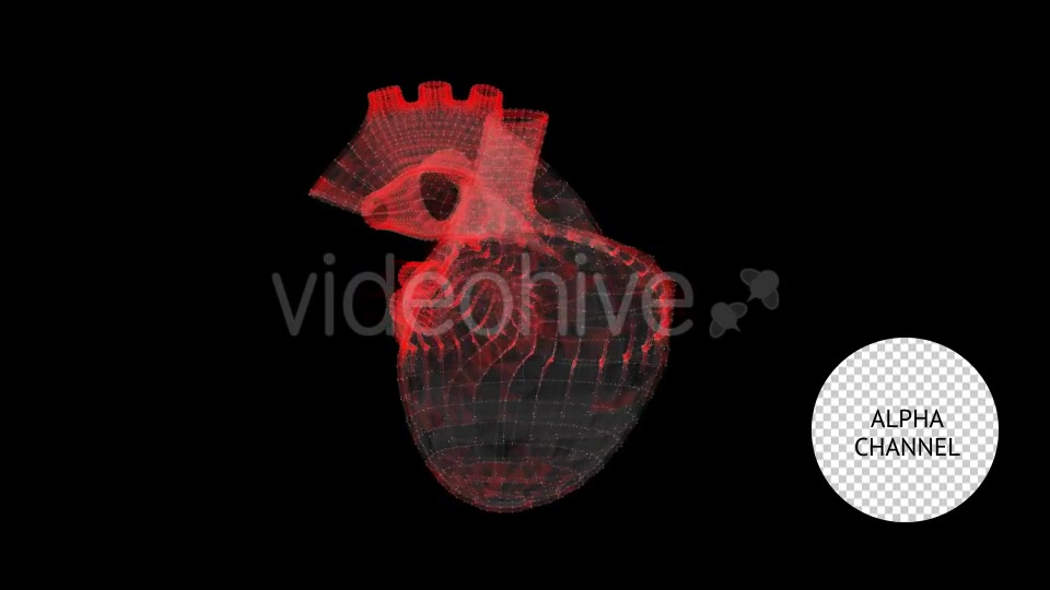 Heart Videohive 19165235 Motion Graphics Image 3