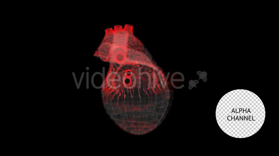Heart Videohive 19165235 Motion Graphics Image 4