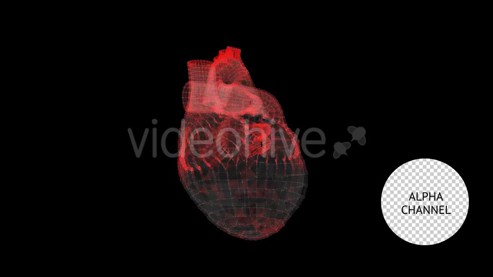 Heart Videohive 19165235 Motion Graphics Image 5