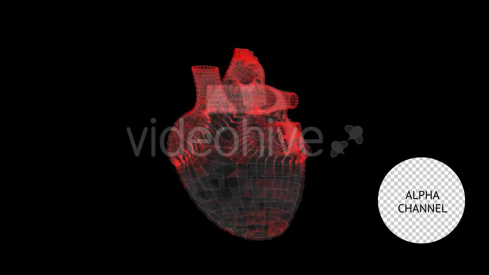 Heart Videohive 19165235 Motion Graphics Image 6