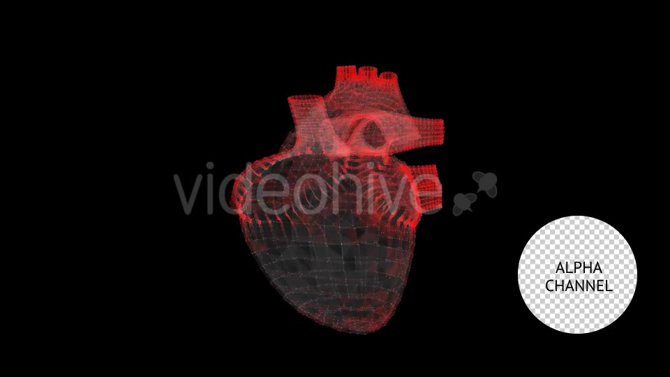Heart Videohive 19165235 Motion Graphics Image 7
