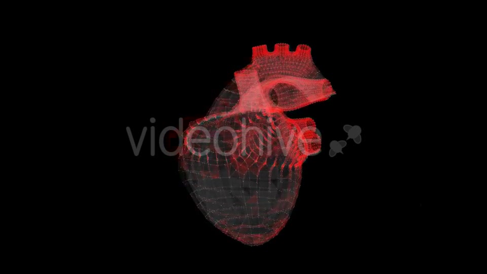 Heart Videohive 19165235 Motion Graphics Image 8