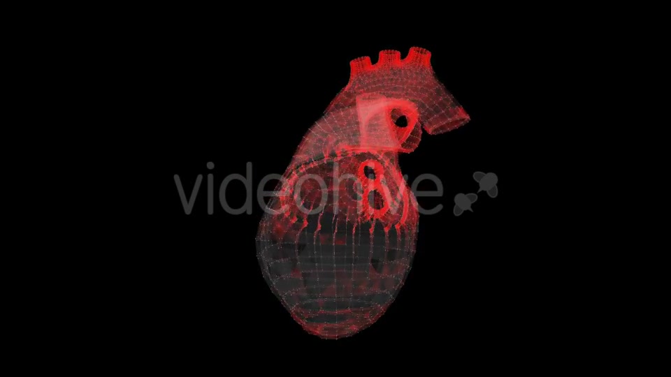 Heart Videohive 19165235 Motion Graphics Image 9