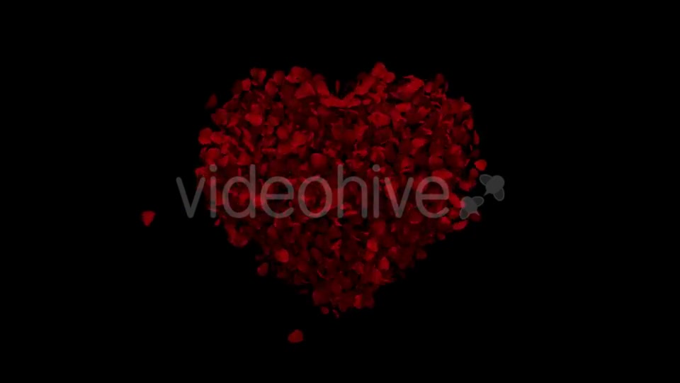 Heart Animation From Rose Petals Videohive 19436669 Motion Graphics Image 3