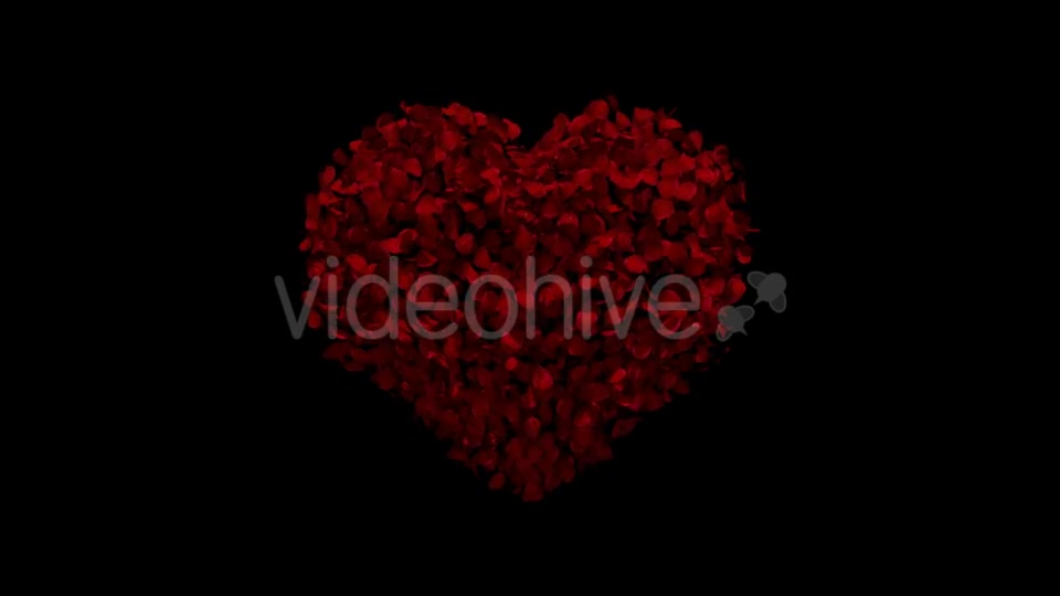 Heart Animation From Rose Petals Videohive 19436669 Motion Graphics Image 4