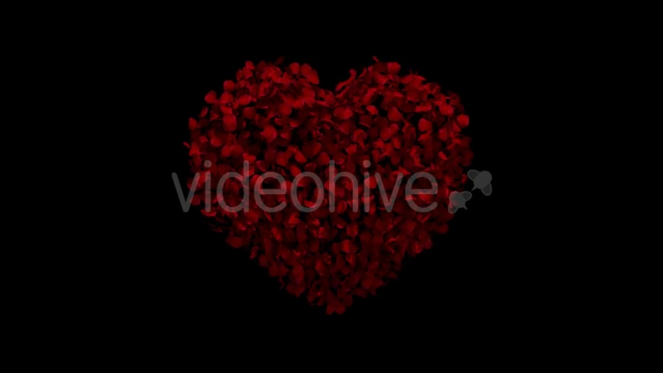 Heart Animation From Rose Petals Videohive 19436669 Motion Graphics Image 5