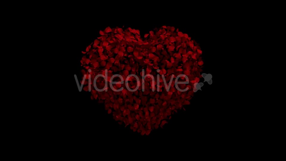 Heart Animation From Rose Petals Videohive 19436669 Motion Graphics Image 6