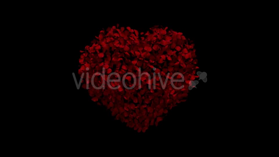 Heart Animation From Rose Petals Videohive 19436669 Motion Graphics Image 7