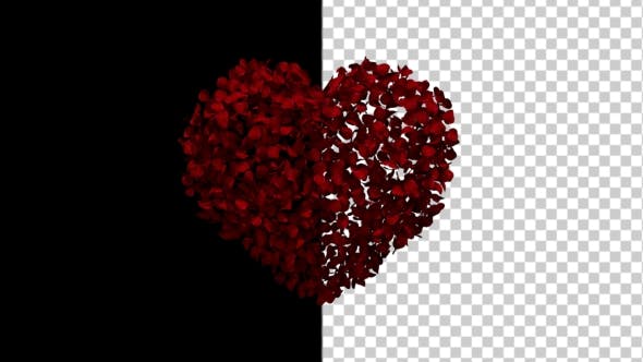Heart Animation From Rose Petals - Videohive 19436669 Download