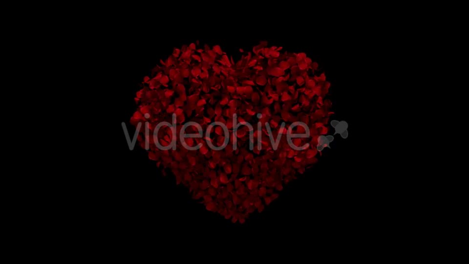 Heart Animation From Rose Petals Videohive 19431561 Motion Graphics Image 1