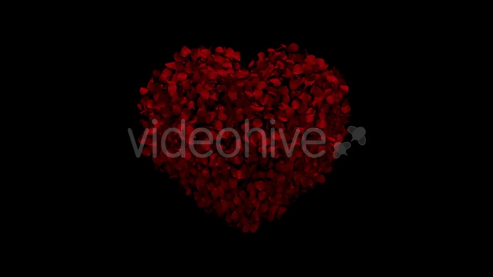 Heart Animation From Rose Petals Videohive 19431561 Motion Graphics Image 3