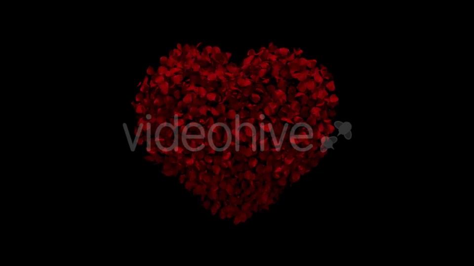 Heart Animation From Rose Petals 19431561 Videohive Download Direct Motion  Graphics