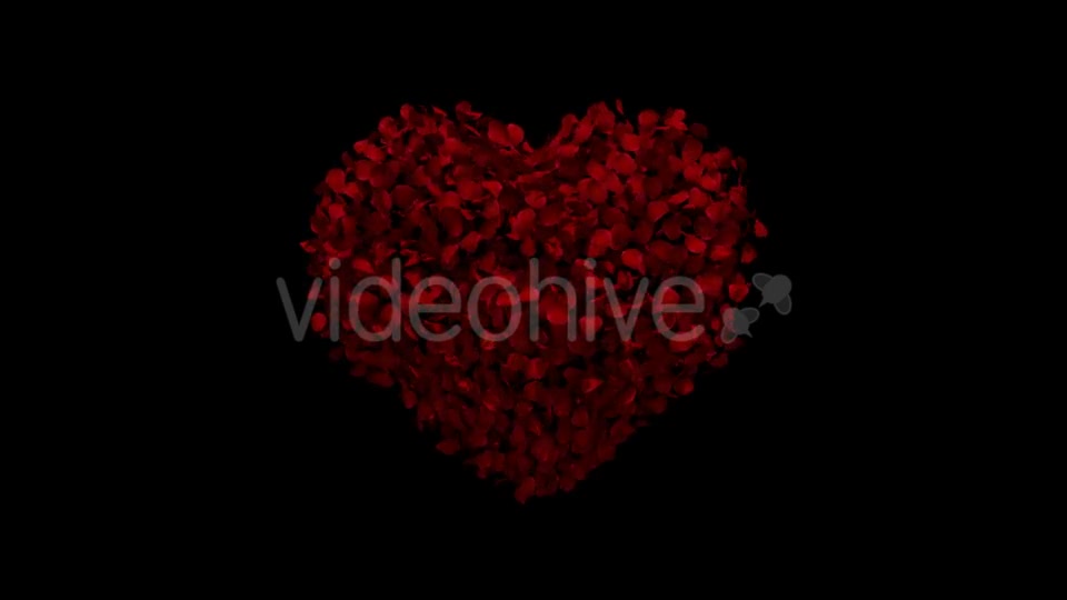 Heart Animation From Rose Petals Videohive 19431561 Motion Graphics Image 5