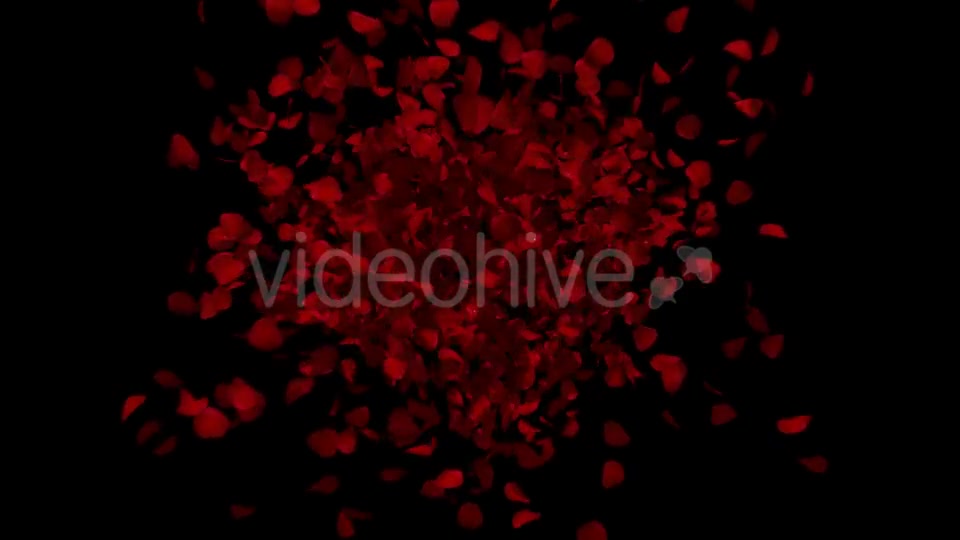Heart Animation From Rose Petals Videohive 19431561 Motion Graphics Image 6