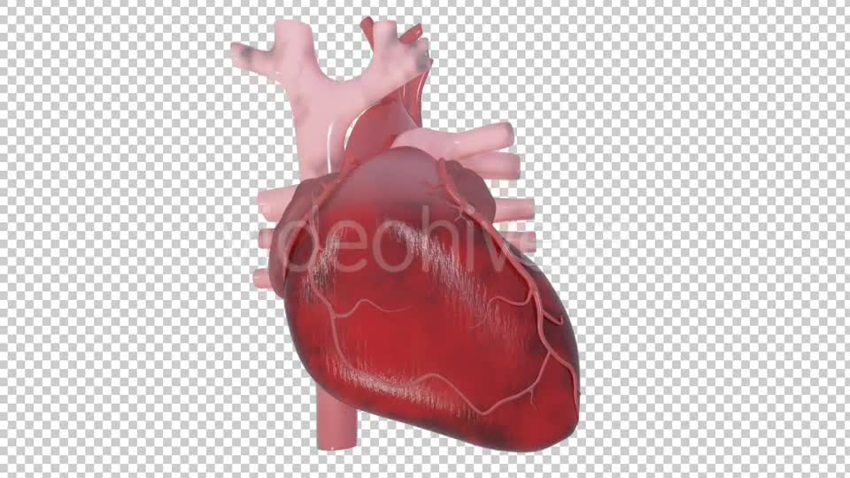 Heart Attack Videohive 20667465 Motion Graphics Image 1