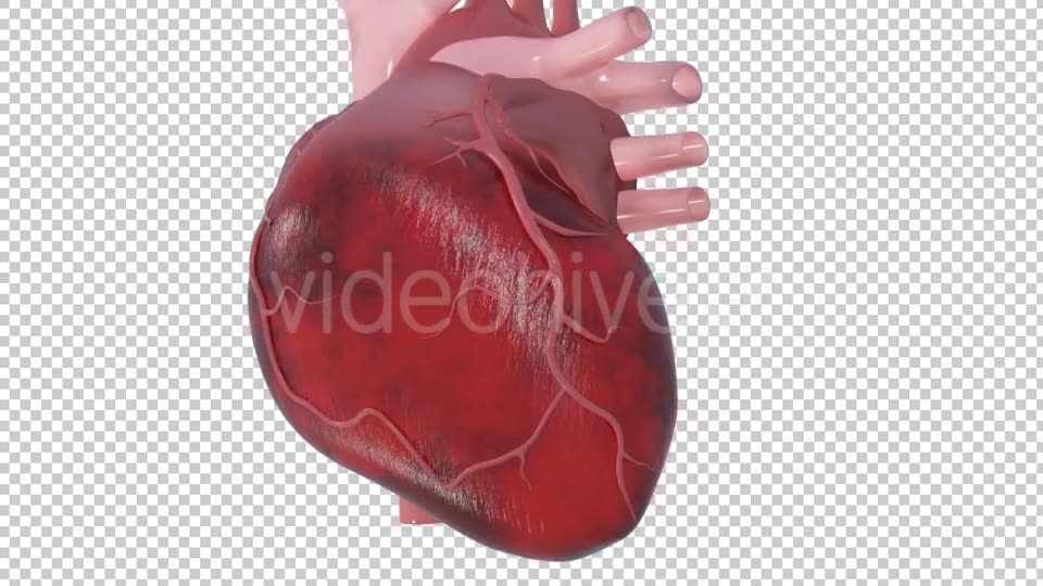 Heart Attack Videohive 20667465 Motion Graphics Image 2