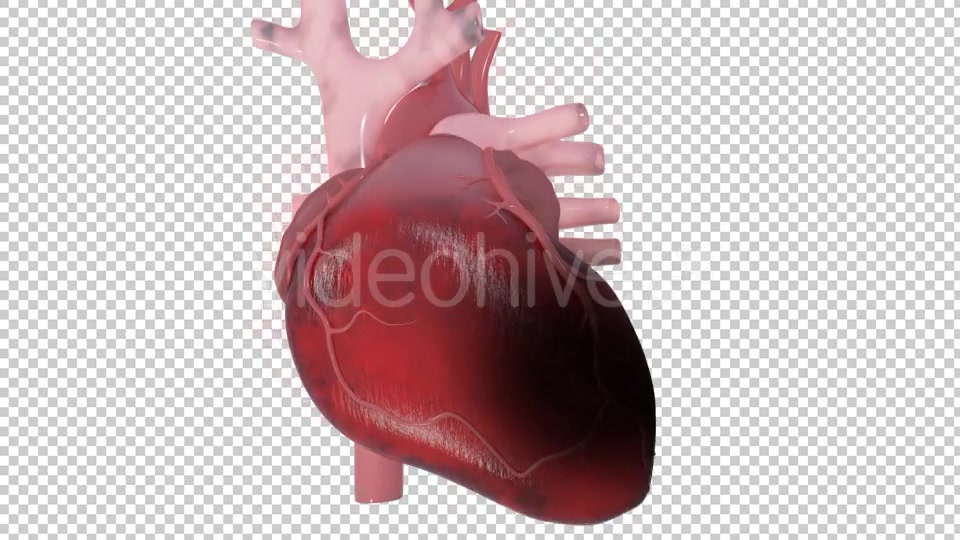 Heart Attack Videohive 20667465 Motion Graphics Image 9