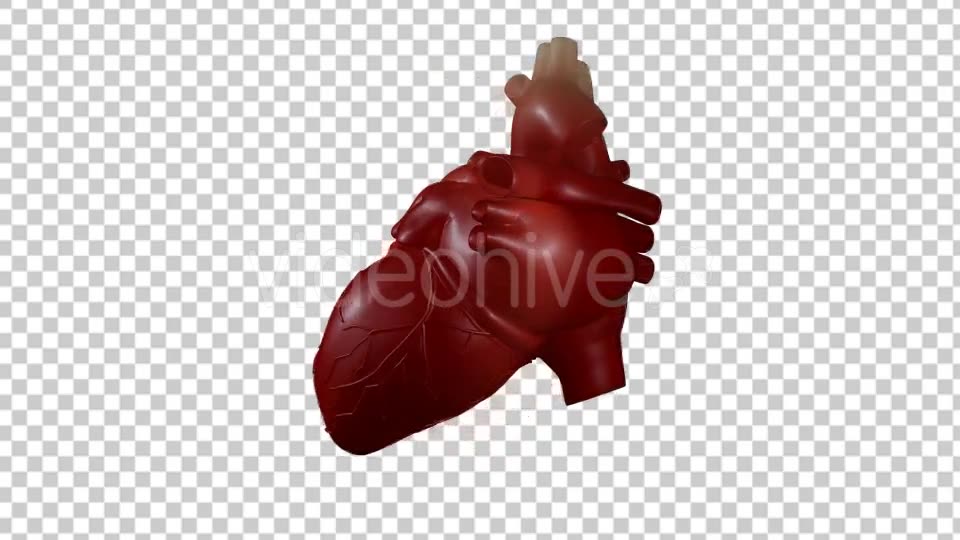 Heart Beating With Rotation 360 Degrees Videohive 19529501 Motion Graphics Image 2