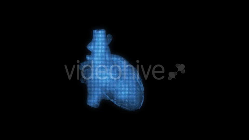 Heart Hologram Videohive 21214491 Motion Graphics Image 10