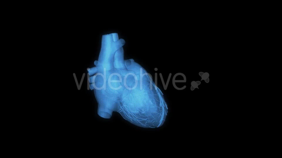 Heart Hologram Videohive 21214491 Motion Graphics Image 11