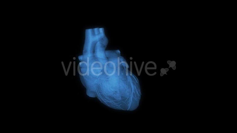 Heart Hologram Videohive 21214491 Motion Graphics Image 12