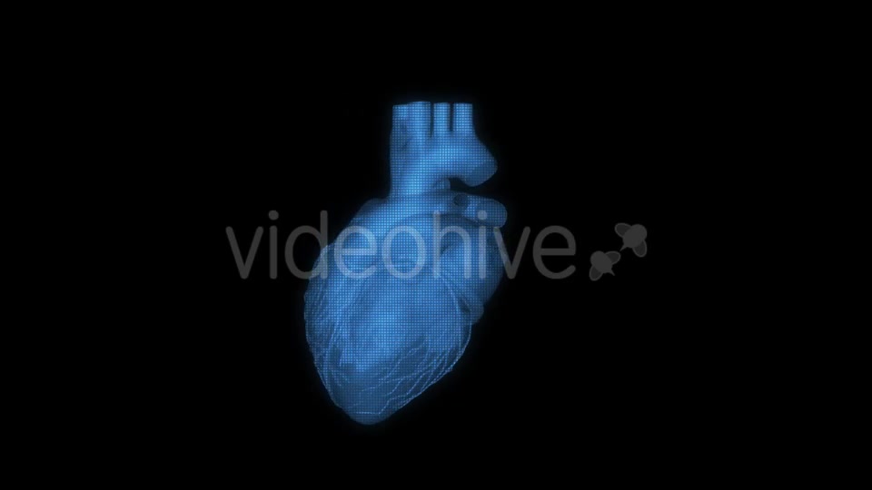 Heart Hologram Videohive 21214491 Motion Graphics Image 2