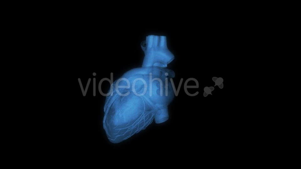 Heart Hologram Videohive 21214491 Motion Graphics Image 3