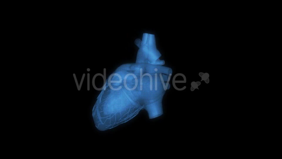 Heart Hologram Videohive 21214491 Motion Graphics Image 4