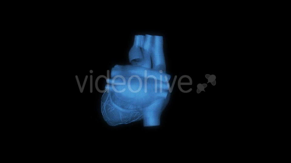 Heart Hologram Videohive 21214491 Motion Graphics Image 6