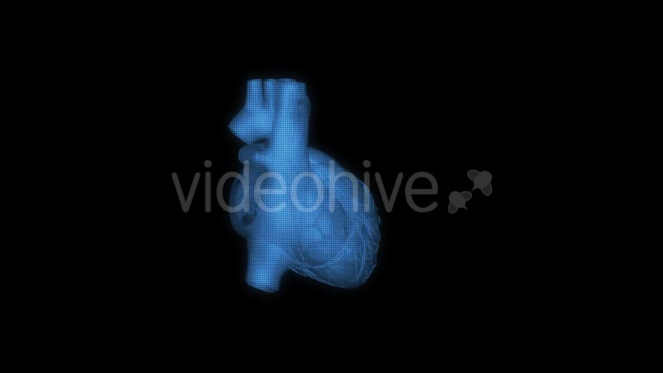 Heart Hologram Videohive 21214491 Motion Graphics Image 9