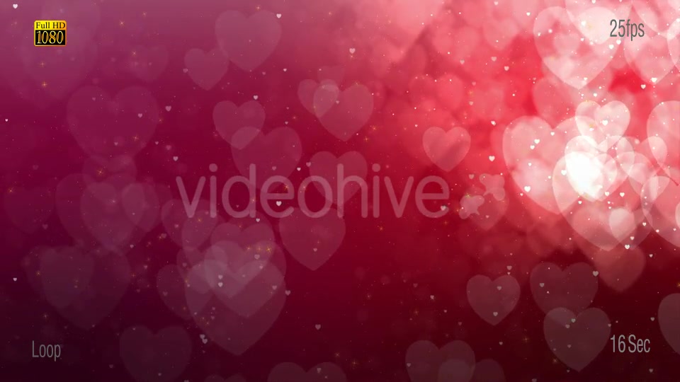 Heart Particles_01 Videohive 19343897 Motion Graphics Image 4