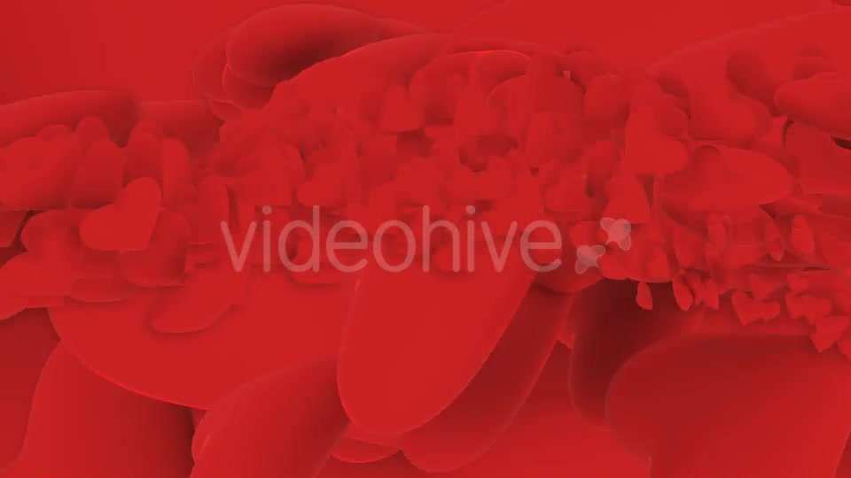 Heart Transition 2 Videohive 11341668 Motion Graphics Image 4