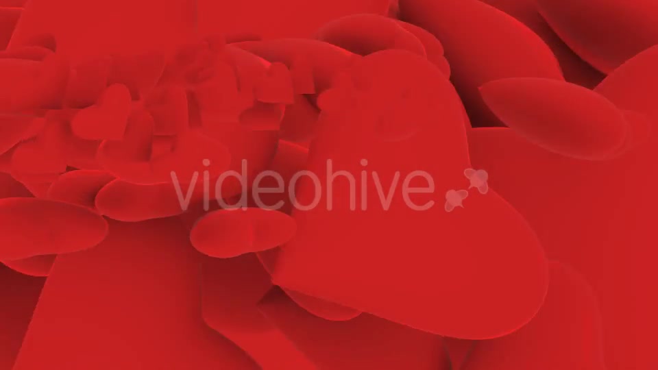 Heart Transition 2 Videohive 11341668 Motion Graphics Image 5
