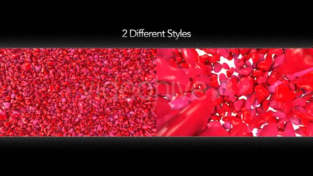 Hearts Fill Screen Overlay Videohive 14473212 Motion Graphics Image 2