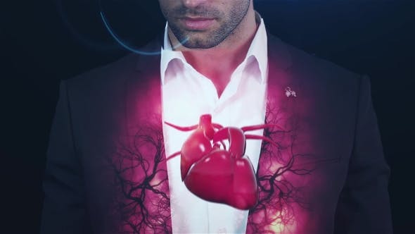 Hologram Vessels and the Heart, Veins, To the Brutal Man - 19411556 Download Videohive