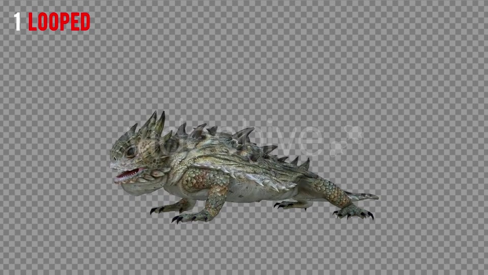 Horn Lizard 1 Realistic Pack 4 Videohive 21251246 Motion Graphics Image 3