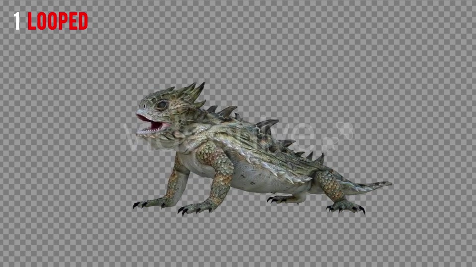 Horn Lizard 1 Realistic Pack 4 Videohive 21251246 Motion Graphics Image 4