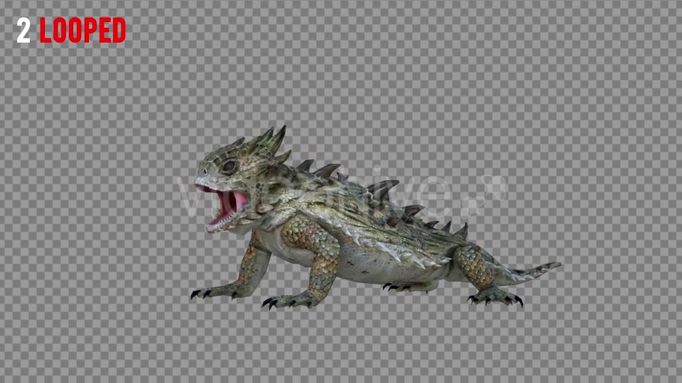 Horn Lizard 1 Realistic Pack 4 Videohive 21251246 Motion Graphics Image 5
