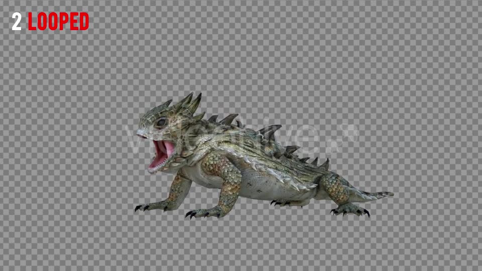Horn Lizard 1 Realistic Pack 4 Videohive 21251246 Motion Graphics Image 6