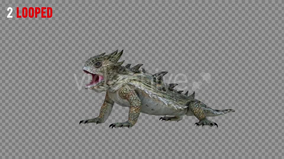 Horn Lizard 1 Realistic Pack 4 Videohive 21251246 Motion Graphics Image 7