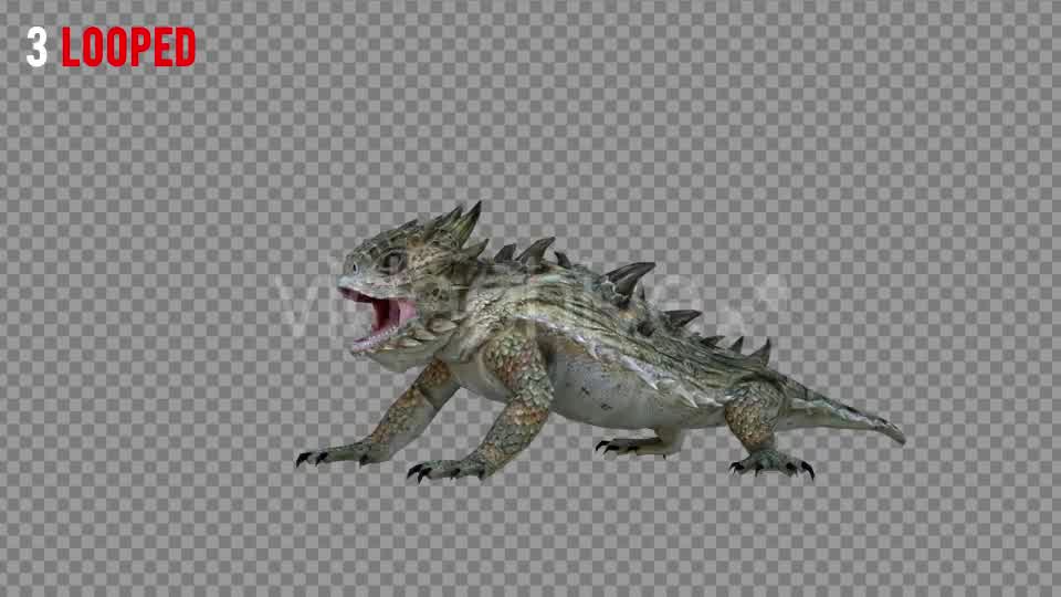 Horn Lizard 1 Realistic Pack 4 Videohive 21251246 Motion Graphics Image 8