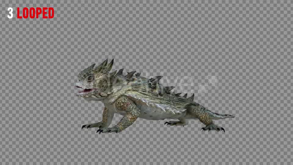 Horn Lizard 1 Realistic Pack 4 Videohive 21251246 Motion Graphics Image 9