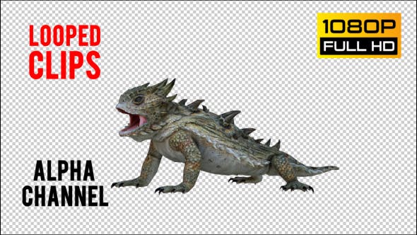 Horn Lizard 1 Realistic Pack 4 - Videohive 21251246 Download